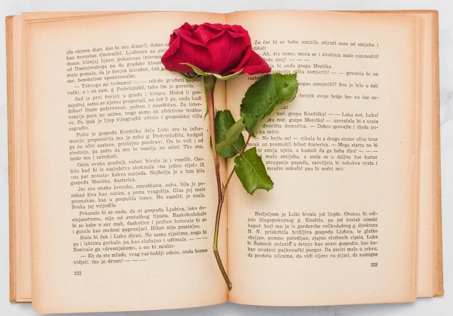 Heartfelt Goodnight Poems For Her